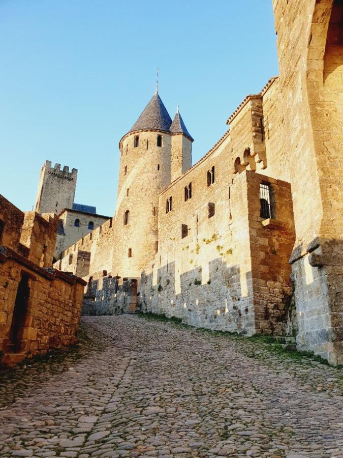 Maison Avec Jardin Au Pied De La Cite Medievale カルカソンヌ エクステリア 写真